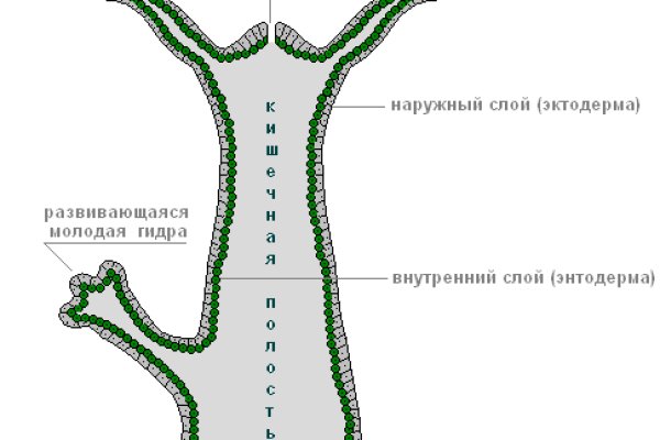 Ссылка омг омг в тор браузере